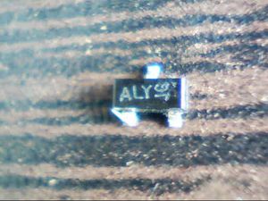 aly-jg