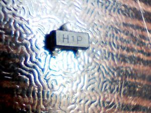h1p