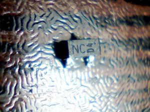 nc-d4