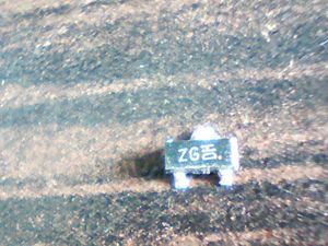 zg-dh