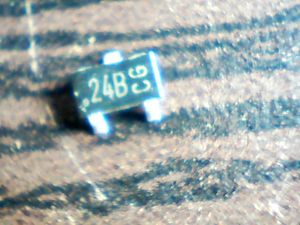 24b-cg