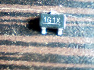 1g1x