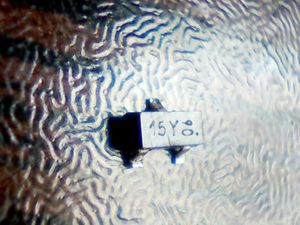 15y-06
