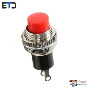 کلید فشاری 2 پایه گرد فلزی DS-316