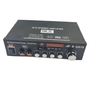 آمپلی فایر 2×100 وات HIFI مدل G919 باکس دار