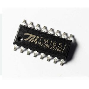 آی سی TM1651
