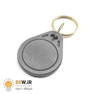 تگ RFID سر کلیدی IC key - فرکانس 13.56MHz خاکستری