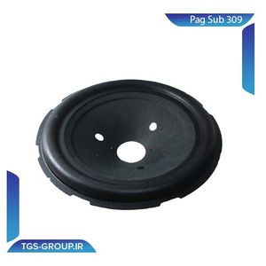 صفحه ساب 309