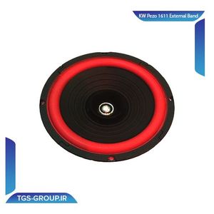 باند پژو خارجی 1611-KW