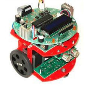 NAR119 Five Robots in a Robot