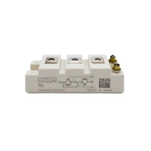 آی جی بی تی IGBT SKM100GB128D DUAL PACK ORGINAL
