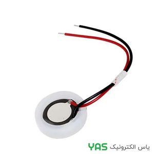 پیزو الکتریک سیم دار 20MM