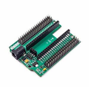 برد توسعه رزبری پای پیکو Pico