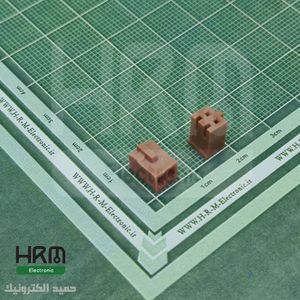 کانکتور آیفونی 2 پین مادگی (JAE)