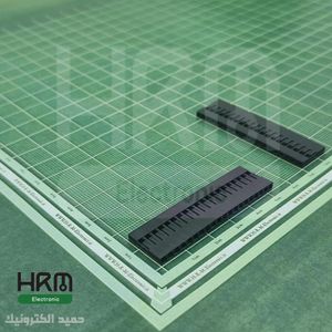 کانکتور هوزینگ 20 پین (20*1) 2.54mm