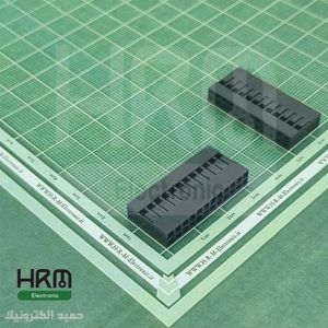 کانکتور هوزینگ 24 پین (12*2) 2.54mm