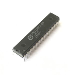 UM61256