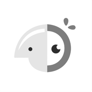 نوک هویه هیتر سرصاف B&R 900M-T-JI