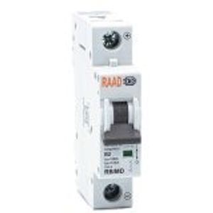 کلید مینیاتوری جریان مستقیم DC برند RAAD رعد تک پل 40 آمپر 6 کیلو آمپر منحنی B سری RB/MD