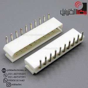 کانکتور پین گرد 10 پین نری رایت
