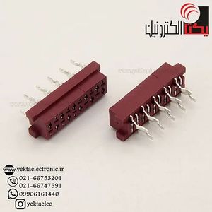 دیل سوکت قرمز 10 پین مادگی