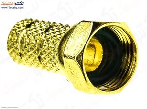 FISH RESIVER ACHARKHOR GOLD (314)