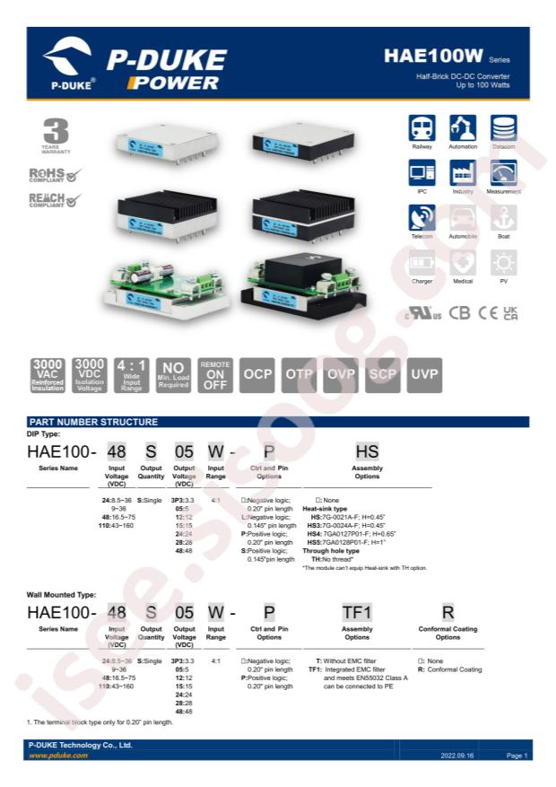 P-DUKE Technology, Inc. HAE100-24S3P3W