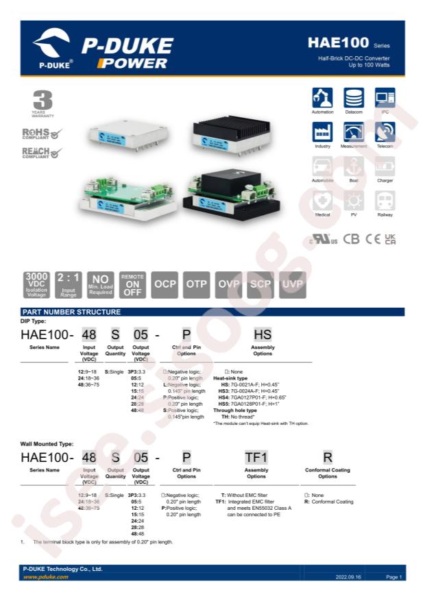 P-DUKE Technology, Inc. HAE100-48S3P3