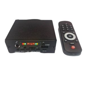 پخش کننده صوتی آمپلی دار مدل D22135