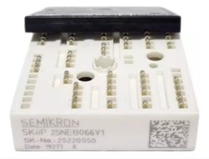 SKIIP 25NEB066V1
