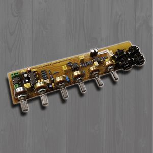 ماژول پری با ورودی 2 میکروفون و تون کنترل و اکو - مدل SK2 - فروشگاه اینترنتی سام آوا