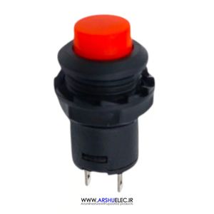 قیمت و خرید کلید شستی فشاری مهره‌خور 2 پایه DS213 | فروش تک و عمده آرشو الکترونیک