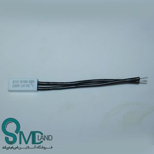 ترموسوئیچ 65 سیم دار