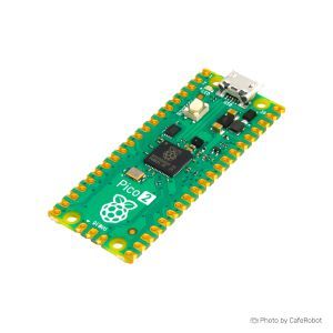 برد رزبری پای پیکو Pico 2