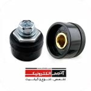 فیش مادگی سایز 25 تایوانی