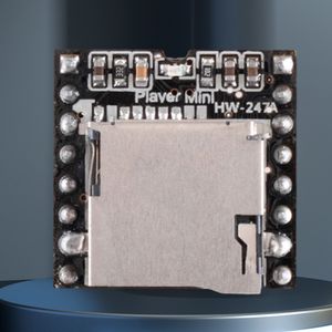DF-PLAYER Module