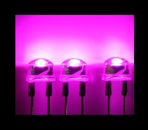 SH-PINK LED