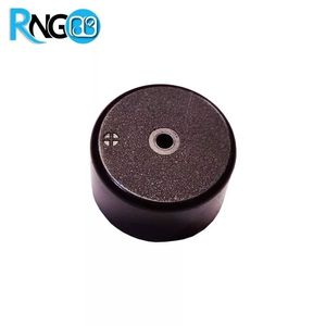 بازر 6v-24v مدل 21A29Q روبردی 24x14mm