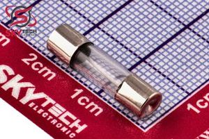 FUSE 10A 250V (F10AL250V)