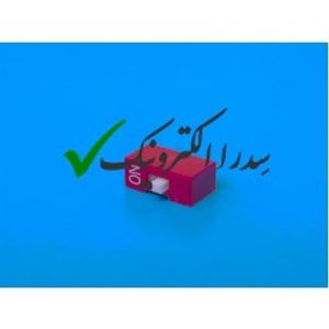 دیپ سوئیچ 1 کلید 2 پین