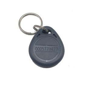 تگ جاسوئیچی RFID فرکانس 125KHZ خاکستری رنگ