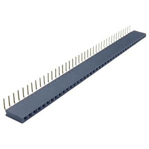 PIN HEADER 1×40 پین هدر مادگی رایت مس - فروشگاه قطعات الکترونیک میکرونور