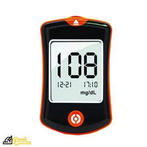 Blood Glucose Monitoring System DS-PALMLAB