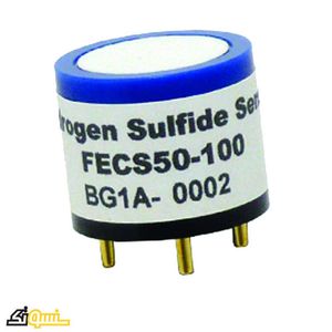FECS50-100 Hydrogen Sulfide Sensor