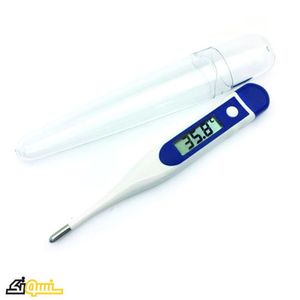 Digital Clinical Thermometer HX-2030