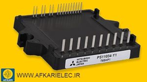 PS11034-Y1