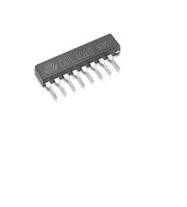 DBL1010