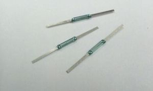 REED SWITCH-1cm
