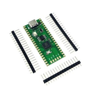 برد رزبری پای پیکو Raspberry Pi Pico با پورت Type-C