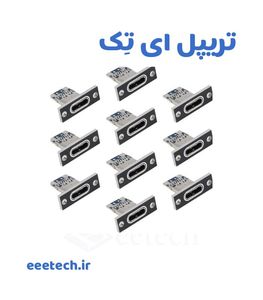 کانکتور مادگی تایپ سی رو بردی 2 پین